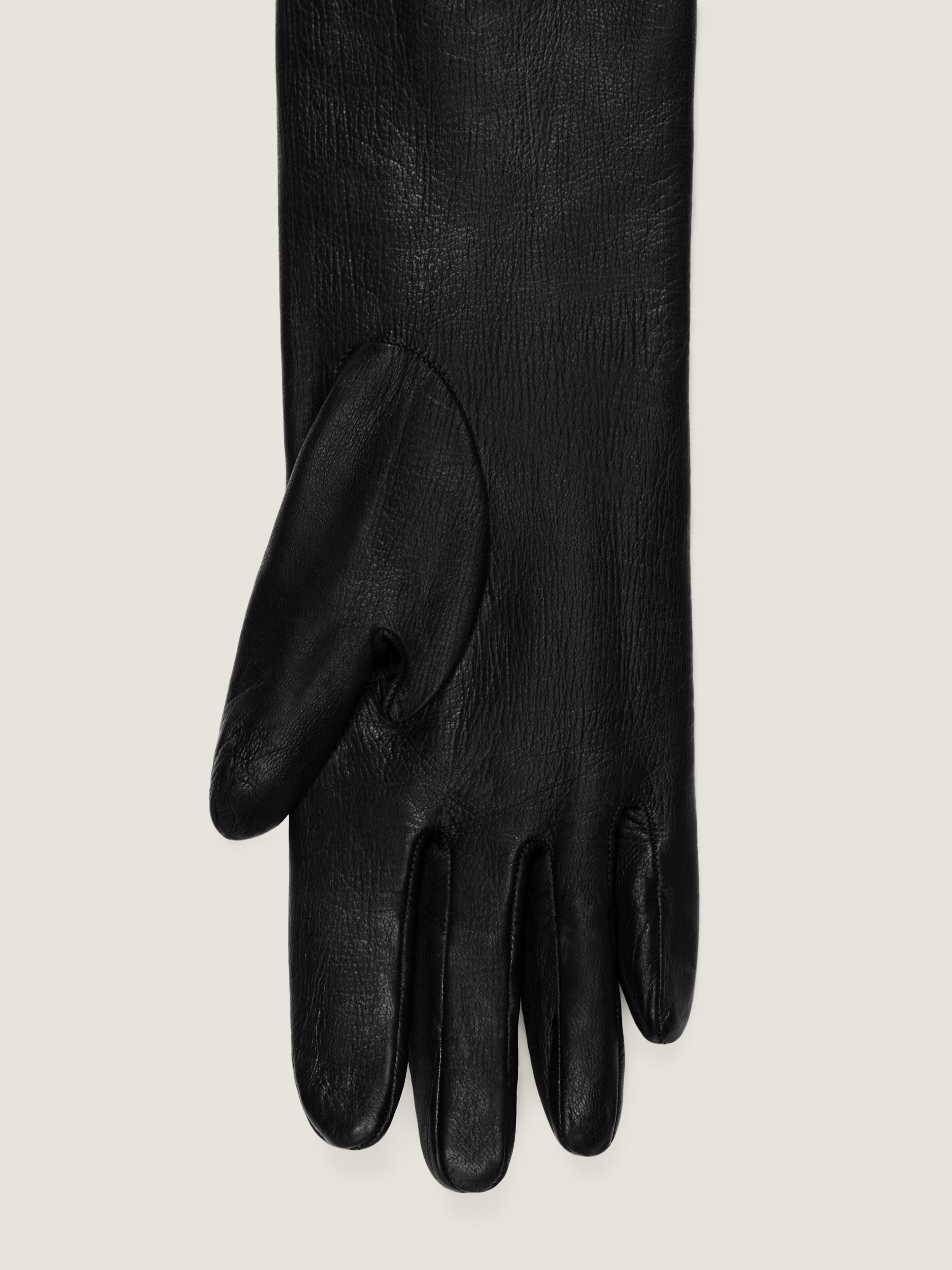 Long gloves in nappa leather